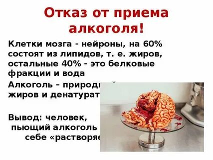 Из чего состоит мозг из жира