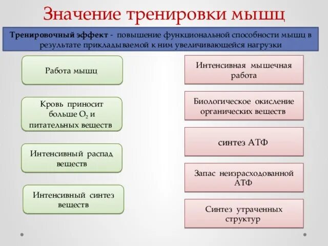 Тренировочный эффект. Тренировочный эффект это биология. Виды тренировочных эффектов. Остаточный тренировочный эффект. Смысл тренингов