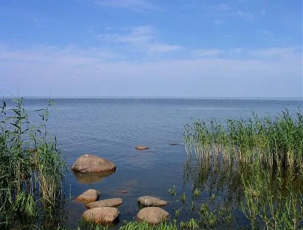 берег чудского озера гдовский район. западный берег псковское озеро. псков озеро псковское. чудское озеро псковская область. есть псковское озеро.