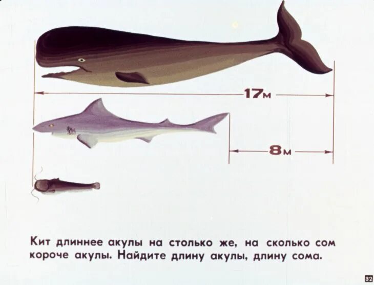 Длина акулы. Акула в сравнении с сомом. Сходство акулы и сома. Сом по сравнению с акулой.