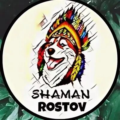 Шаман ростов на дону 2025. Шаман в ростове. шаман рост. шаман концерт в ростове на дону. shaman рост.