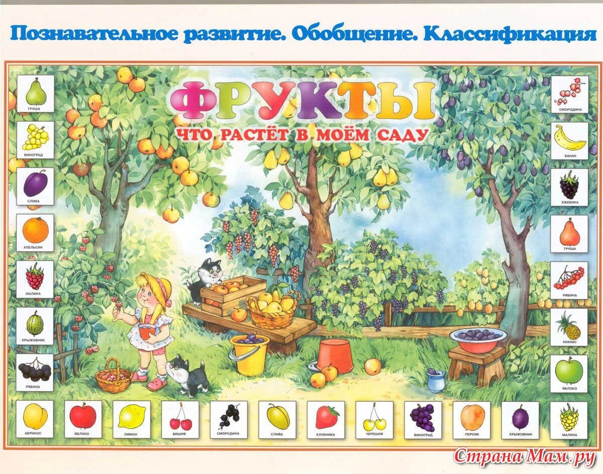 Плакаты с изображением детей. Что растет в саду. плакаты для детского сада. обучающие плакаты для детского сада. развивающие плакаты для детского сада.