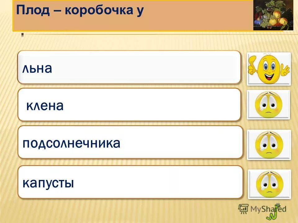 Строение капусты. Плод капусты коробочка. Строение цветка сухие односемянные плоды. Плод растения крестоцветные капуста огородная- боб. Расскажите детям карточки овощей.