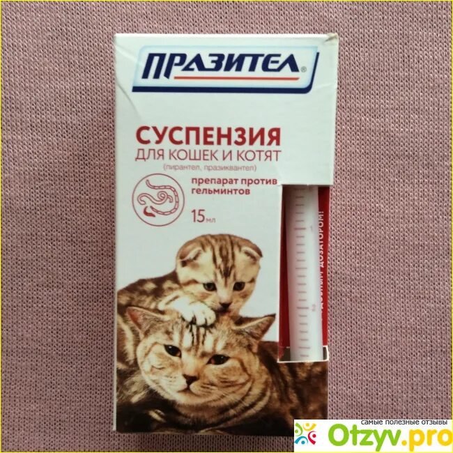 Сколько раз давать кошке от глистов. Празител для котят суспензия. суспензия для котят против глистов. суспензия для котят против гельминтов. препарат против гельминтов для кошек.