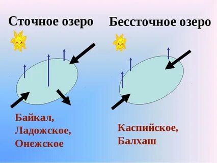 Мертвое море сточное пресное озеро