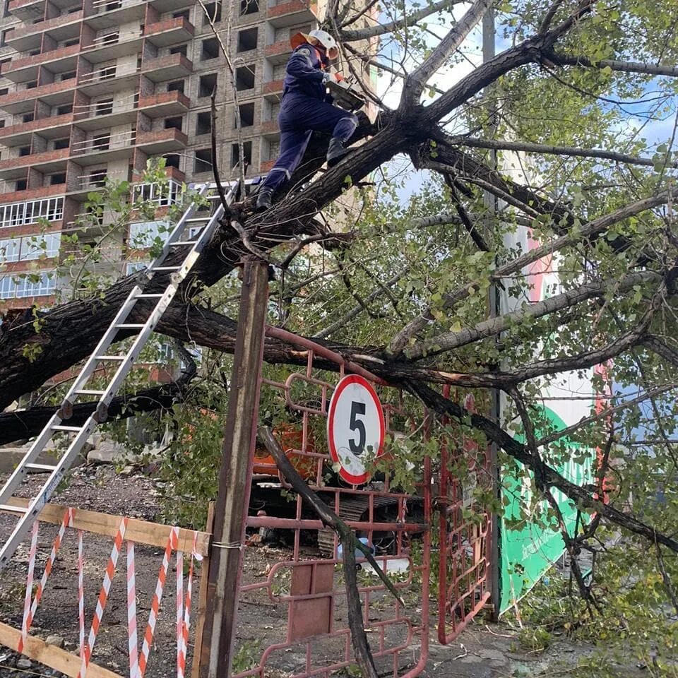 Пилить упавшие деревья