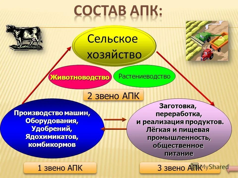 Отрасли сельского хозяйства россии. Апк презентация. Отрасли растениеводства и животноводства. Схема отрасли сельского хозяйства россии. Растениеводство животноводство промышленность.