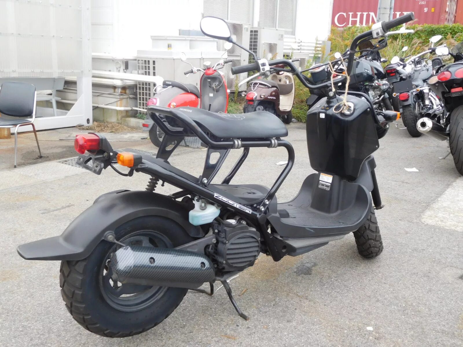 Скутер honda zoomer. Скутер Honda zoomer 50. Honda zoomer 150. Хонда зуммер 50. Honda zoomer 50 кубов.