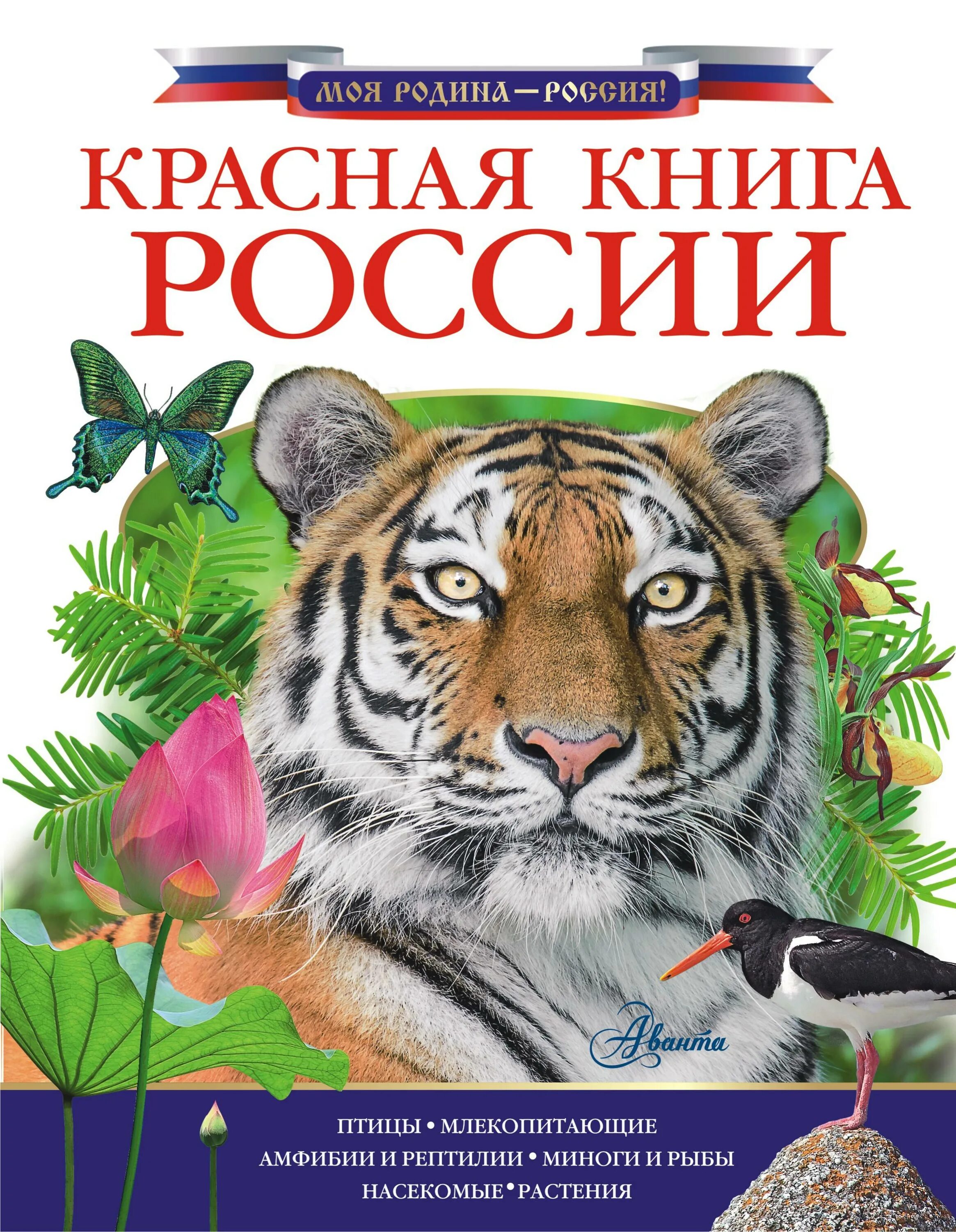 Красная книга о том. Энциклопедия для детей красная книга России. Красная книга российс.... Красная книга России книга. Красная книга обложка.