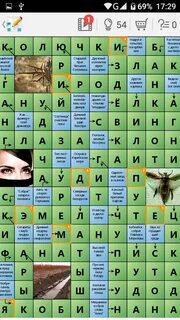 Собрат 7 букв