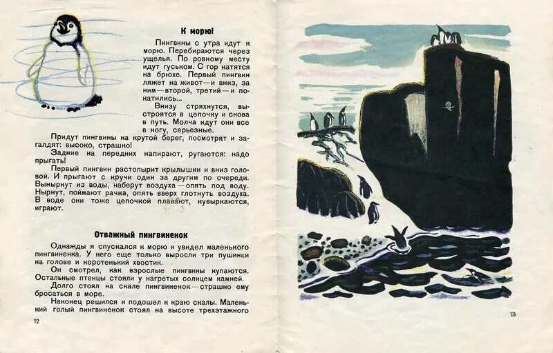 Г Снегирева про пингвинов рассказ. Снегирев г я про пингвинов. Г Снегирев рассказы про пингвинов. Чтение рассказа г Снегирева про пингвинов. Снегирев рассказы текст