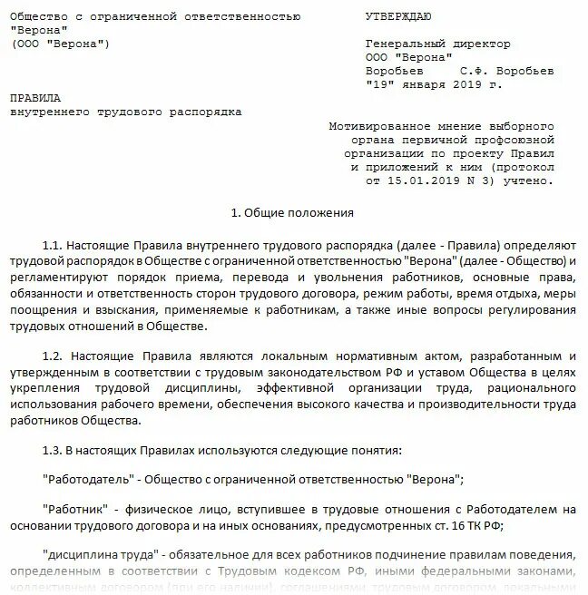 Дополнение правил внутреннего трудового распорядка. Внутренний трудовой распорядок тк рф образец. правила внутреннего трудового распорядка образец 2025 пример. правилами внутреннего трудового распорядка организации образец 2019. образец правил внутреннего трудового распорядка в новой редакции 2025.