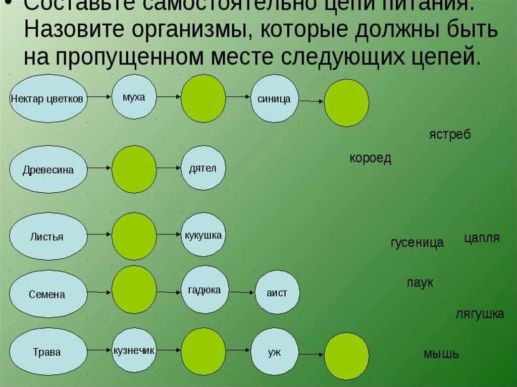 Составить пищевые цепи 5 класс. Цепочка питания биология. Составление пищевых цепей. Составление цепей питания. Пищевые Цепочки поибиологии.