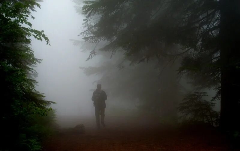 The man from the fog 1.2