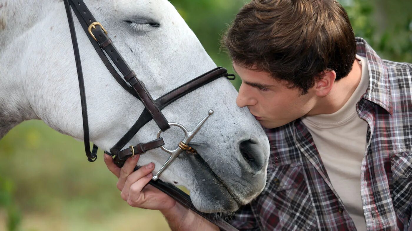 Мужчина лошадь и обезьяна. Мальчик целует лошадь. Любовь между лошадью и человеком. Мужчина целует лошадь. Equine-assisted Therapy.