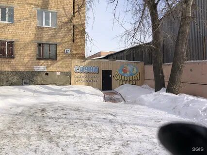Золотая рыбка сердобск