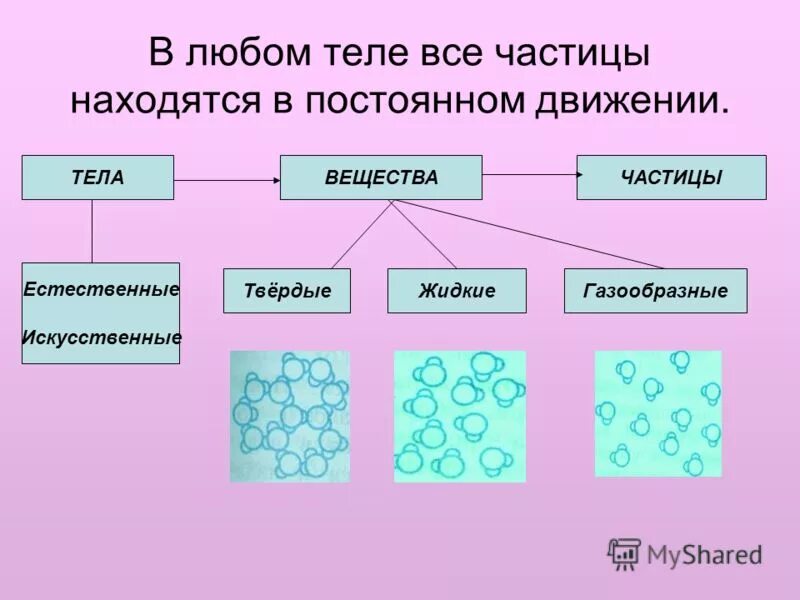 Схема тела вещества частицы для 3 класса. Проект тела вещества частицы 3 класс окружающий мир. Тела вещества частицы 3 класс окружающий мир таблица. Тела вещества частицы презентация. Тест вещество 3 класс