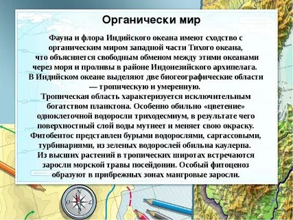 План описания индийского океана