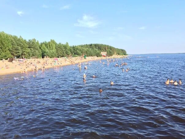 Пляж Коприно Рыбинск. Бухта Коприно пляж. Бухта Рыбинск. Кобостово Рыбинск пляж.