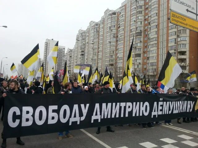 националисты тг. российские националисты. русский марш неонацисты. белецкий националист 2008. демушкин скинхед.
