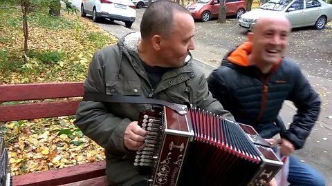 Гармонист матаня