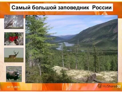 Самый большой российский заповедник