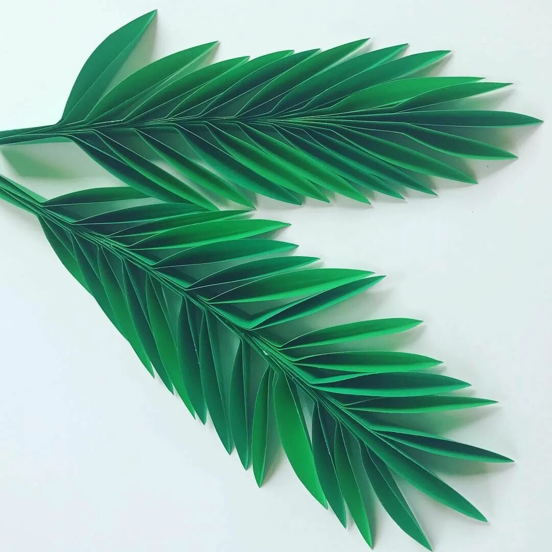 Сделать из пальм листьев. Объемные листья. Сделать из пальм листьев. Листья пальмы из бумаги. Пальмовые листья из бумаги.