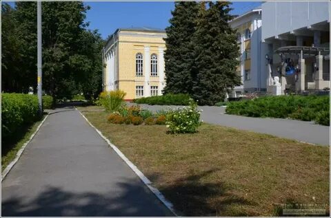Библиотека чавайна