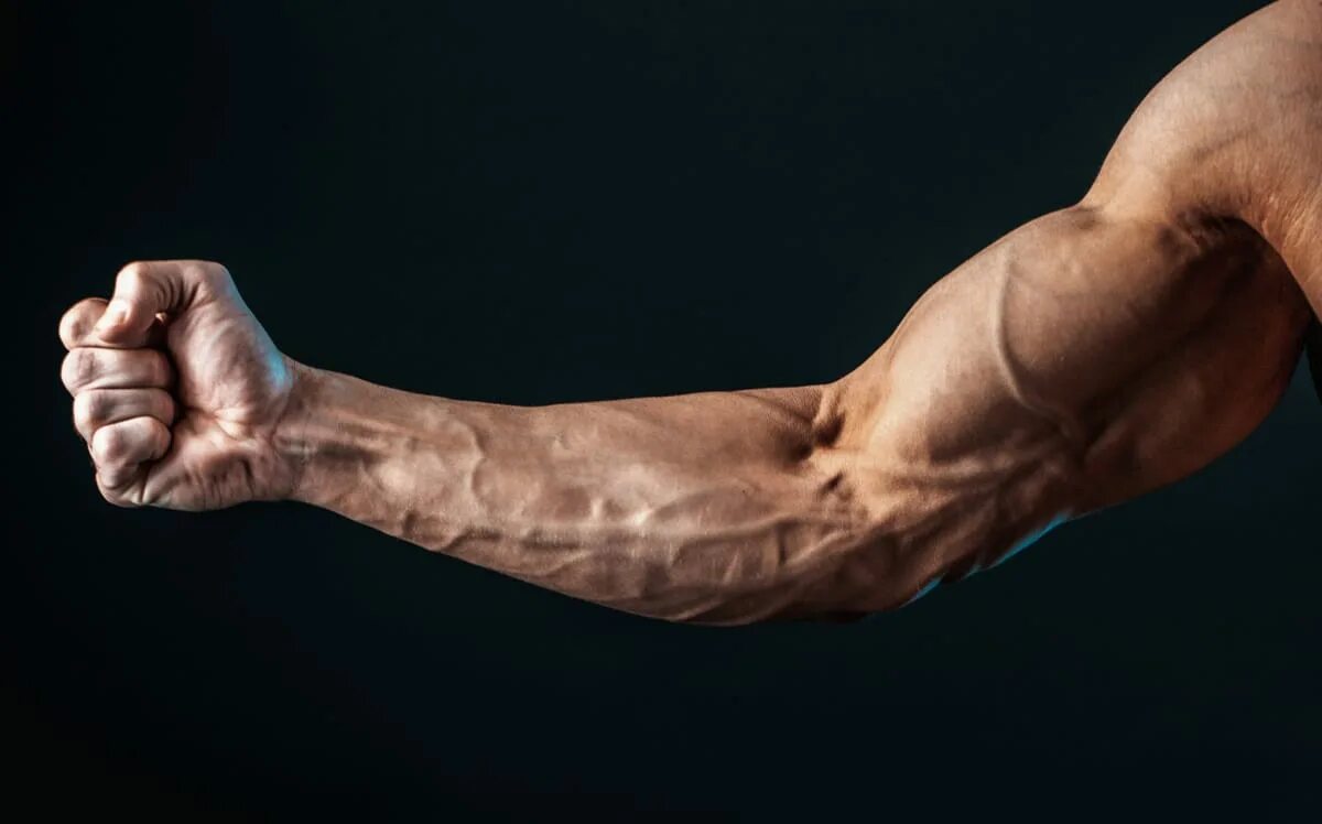 Arm development. Arm development