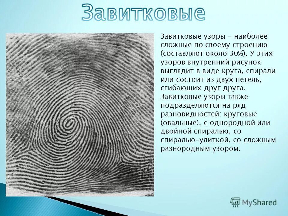 петлевой тип папиллярных узоров ульнарный и радиальный. дуговой папиллярный узор. петлевой папиллярный узор криминалистика. петлевой тип папиллярных узоров виды. тип и разновидность папиллярного узора.