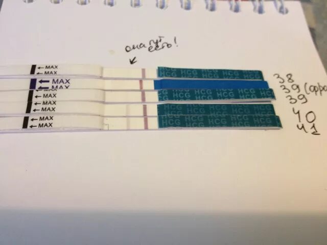Результаты теста при внематочной. Внематочная беременность тест. Тест при внематочной беременности. Показывает ли тест полоска внематочную беременность. Показывает ли тест внематочную беременность.