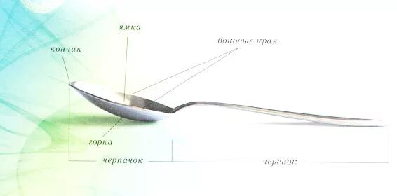 Части ложки столовой. Строение ложки столовой. Составные части ложки. Составные детали ложки. Части чайной ложки.