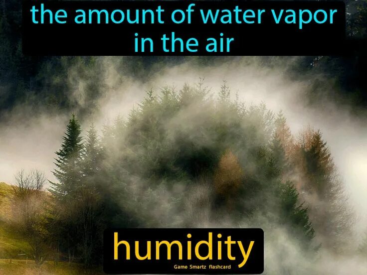 Поле в тумане. Густой туман в мантурово. Объекты в тумане. Грустное дерево. Густой туман.