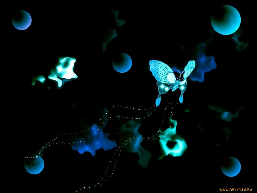 Светящиеся бабочки. Светящиеся бабочки в темноте. Светящиеся бабочки на черном фоне. Бабочка на темном фоне. Материал сверкающий в темноте