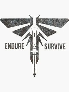 Endure the way