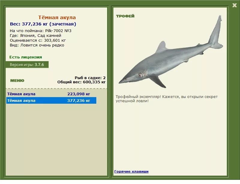 вес большой белой акулы. сколько весит большая акула. вес акулы.