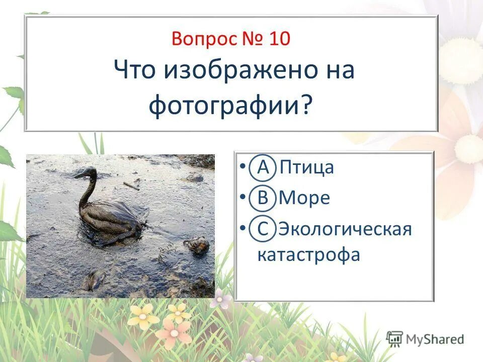 Чему учит экономика 3 класс проверочная