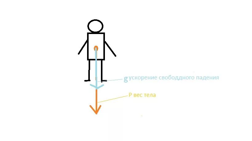 700 ньютонов. Вес человека 700 ньютонов определите его массу. Вес тела рисунок. Рисунок показывающий вес тела. Сделайте рисунок и покажите вес тела.