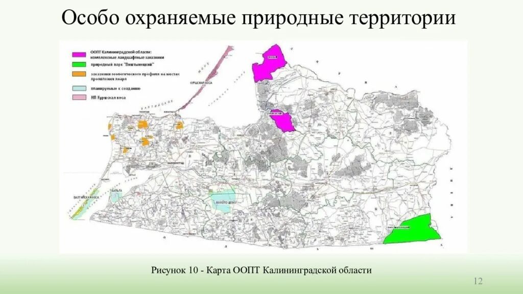 Минприроды калининградской. ООПТ на территории Калининградской области. Особо охраняемые зоны Калининградской области. Особо охраняемые природные территории Калининградской области. Заповедники Калининградской области на карте.