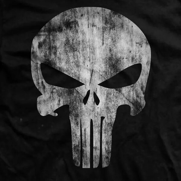 Punisher Skull Logo Poster Punisher skull logo, Punisher artwork, Punisher art
