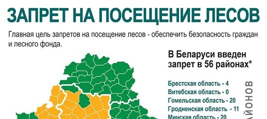 Районы леса закрытые для посещения. Ограничение посещения лесов. карта запретов на посещение лесов. запрет на посещение леса. карта запрета посещения лесов в рб.