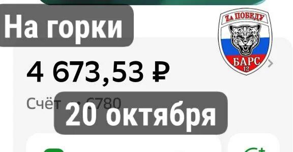 Шеврон доброволец барс. Рт-1 рт-3. Добровольческий батальон барс. Нашивка барс. Барс станок для патронов 12.