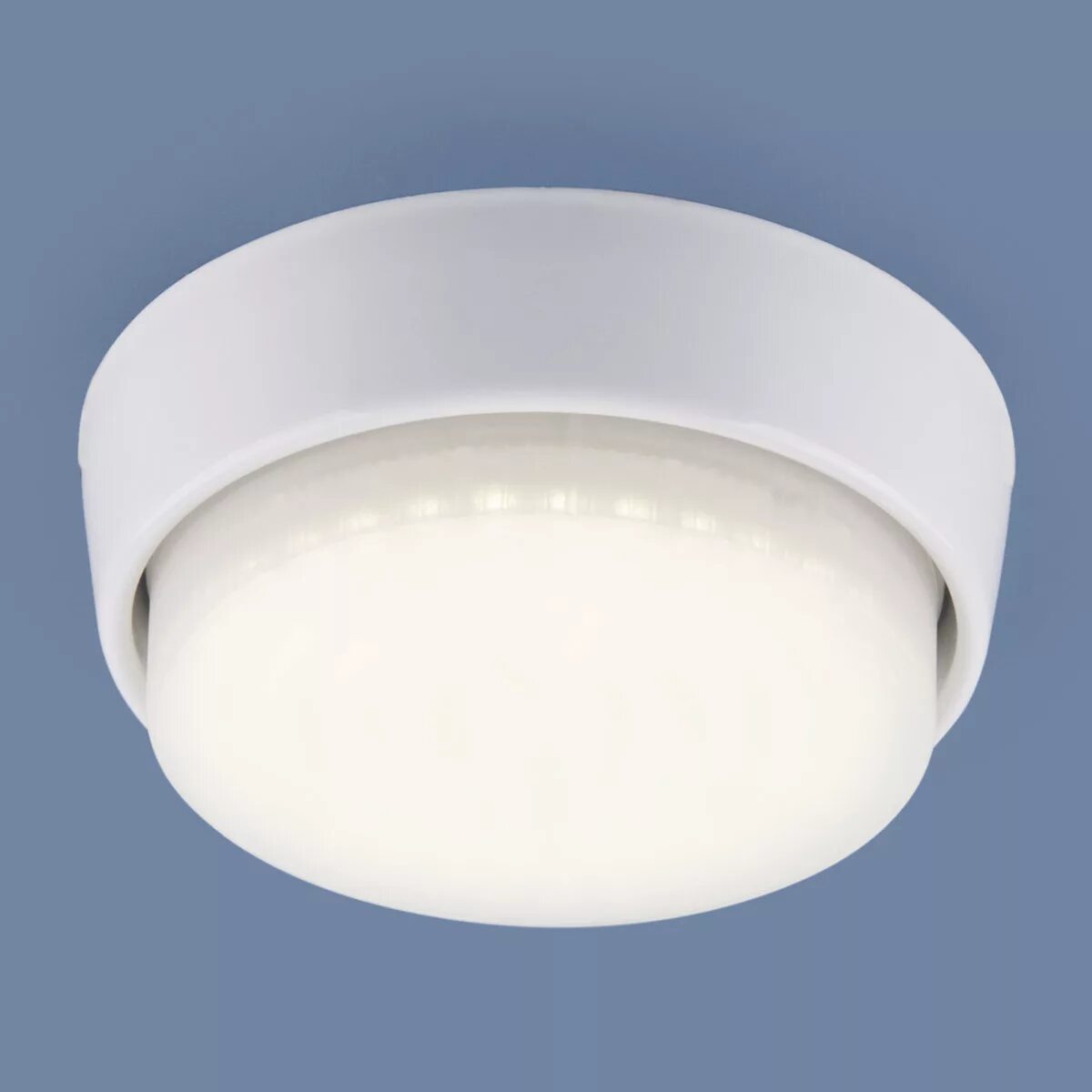 White wh