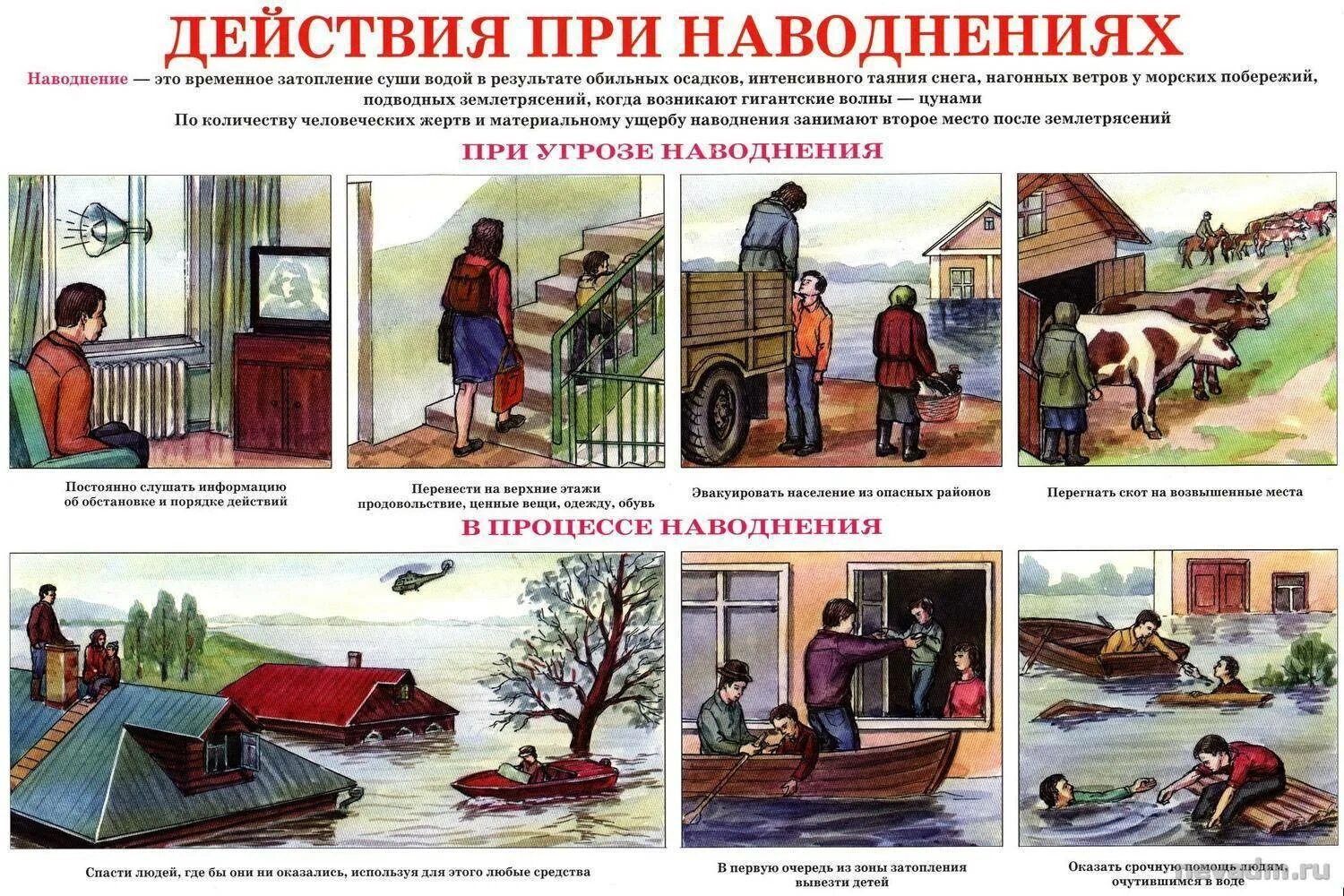 Памятка действия населения при наводнении. Действия при возникновении наводнения. Алгоритм действий при наводнении. Порядок действий при ЧС наводнение. Спастись почему а