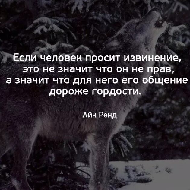 Извинить всегда. Цитаты про извинения. Если человек извиняется значит. Мудрость мысли. Цитаты о ВОЖАКАХ.