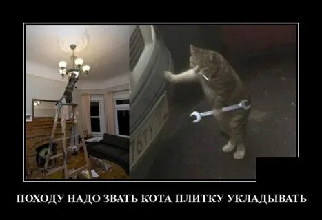 Не зови не надо