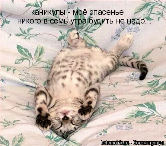 Ты меня не бойся я тебя трону. Работа не работается. работа ты меня не бойся. не боимся работы. работа бойся.