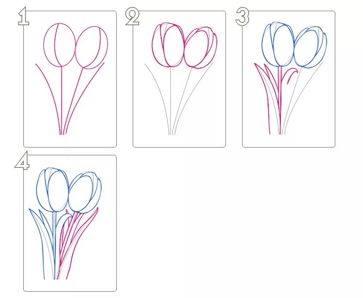 Букет поэтапное рисование. Этапы рисования цветка. Цветы для рисования. Схемы рисования цветов.