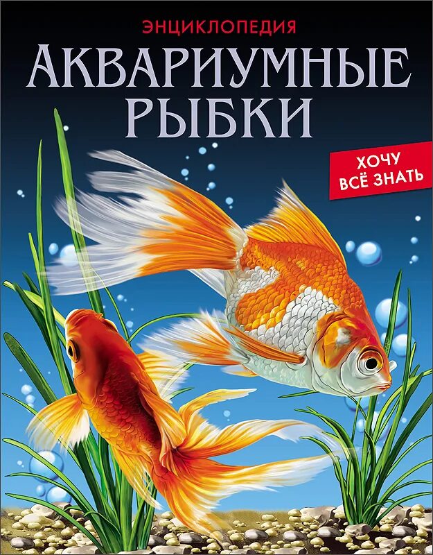 Книга про аквариумных рыбок. Аквариумные рыбки книжка. Книги про аквариумистику для детей. Обложка для книги про аквариумных рыб. Рыба книги купить