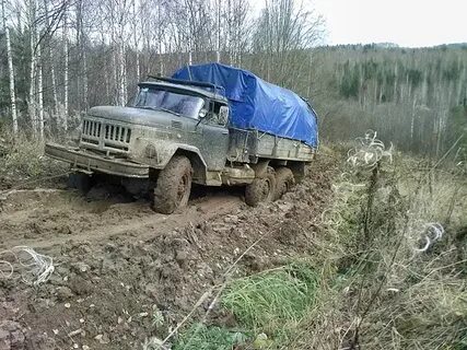 Илеза архангельская